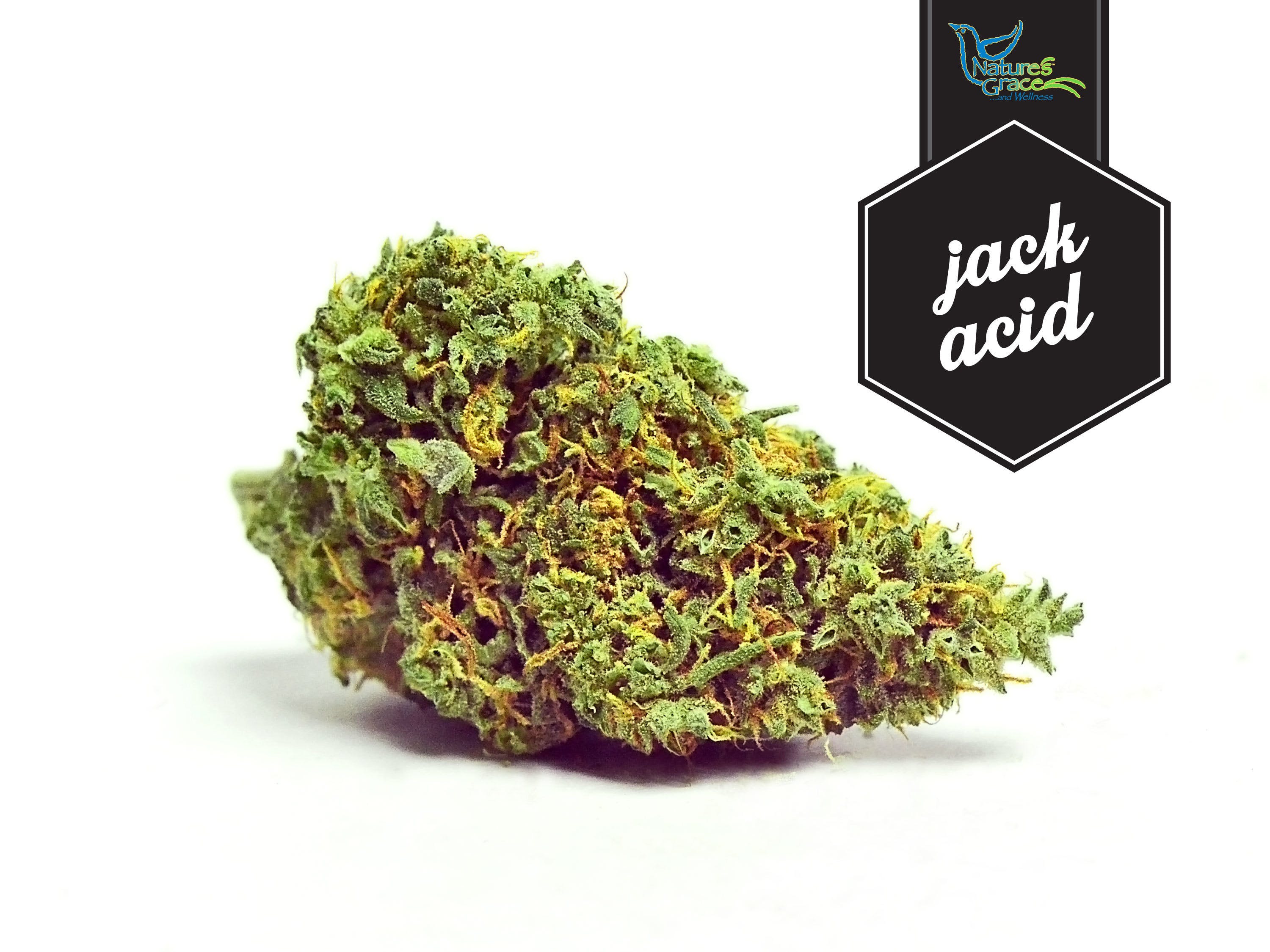 hybrid-jack-acid