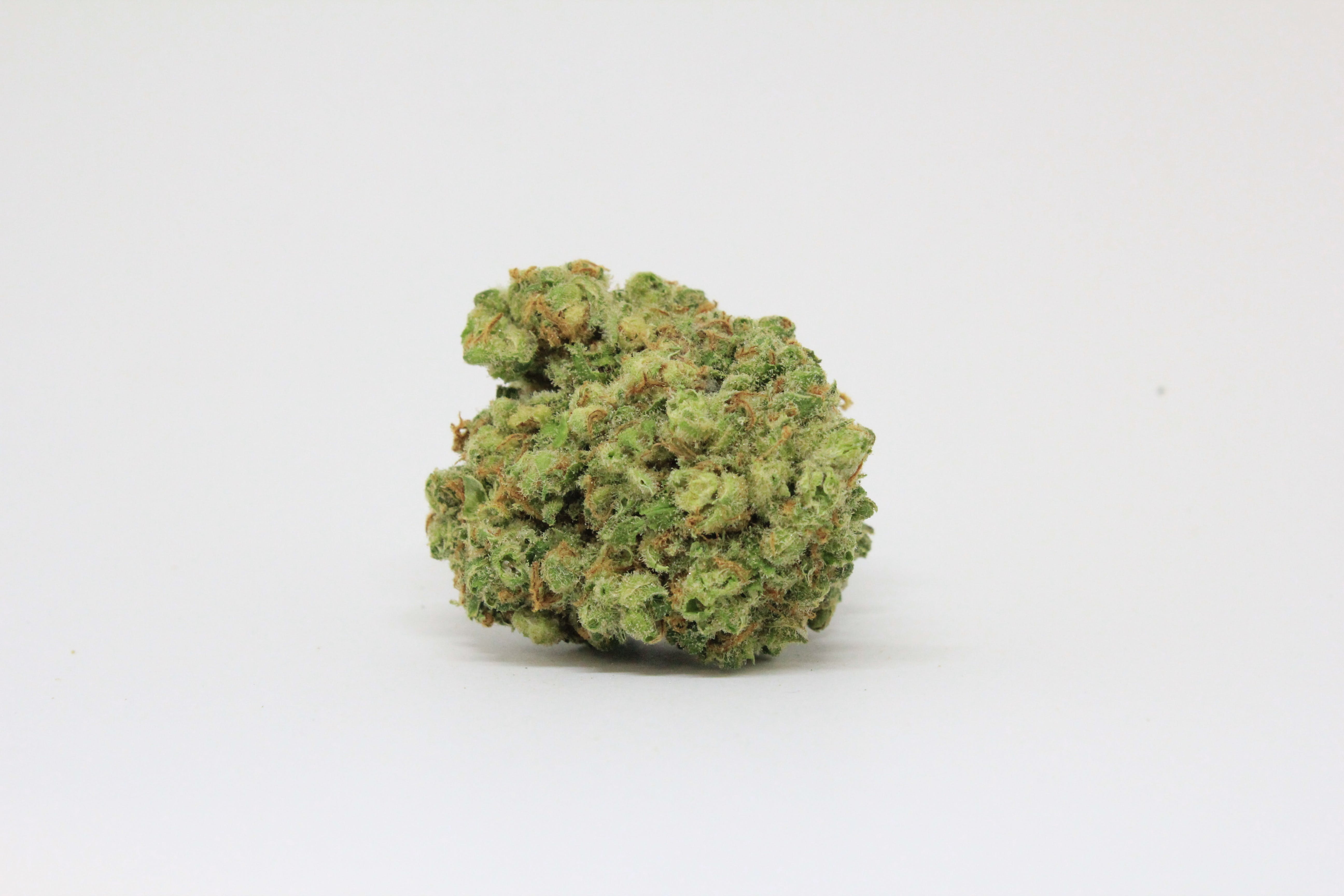 marijuana-dispensaries-kaya-cannabis-colfax-med-in-denver-jack-flash-18