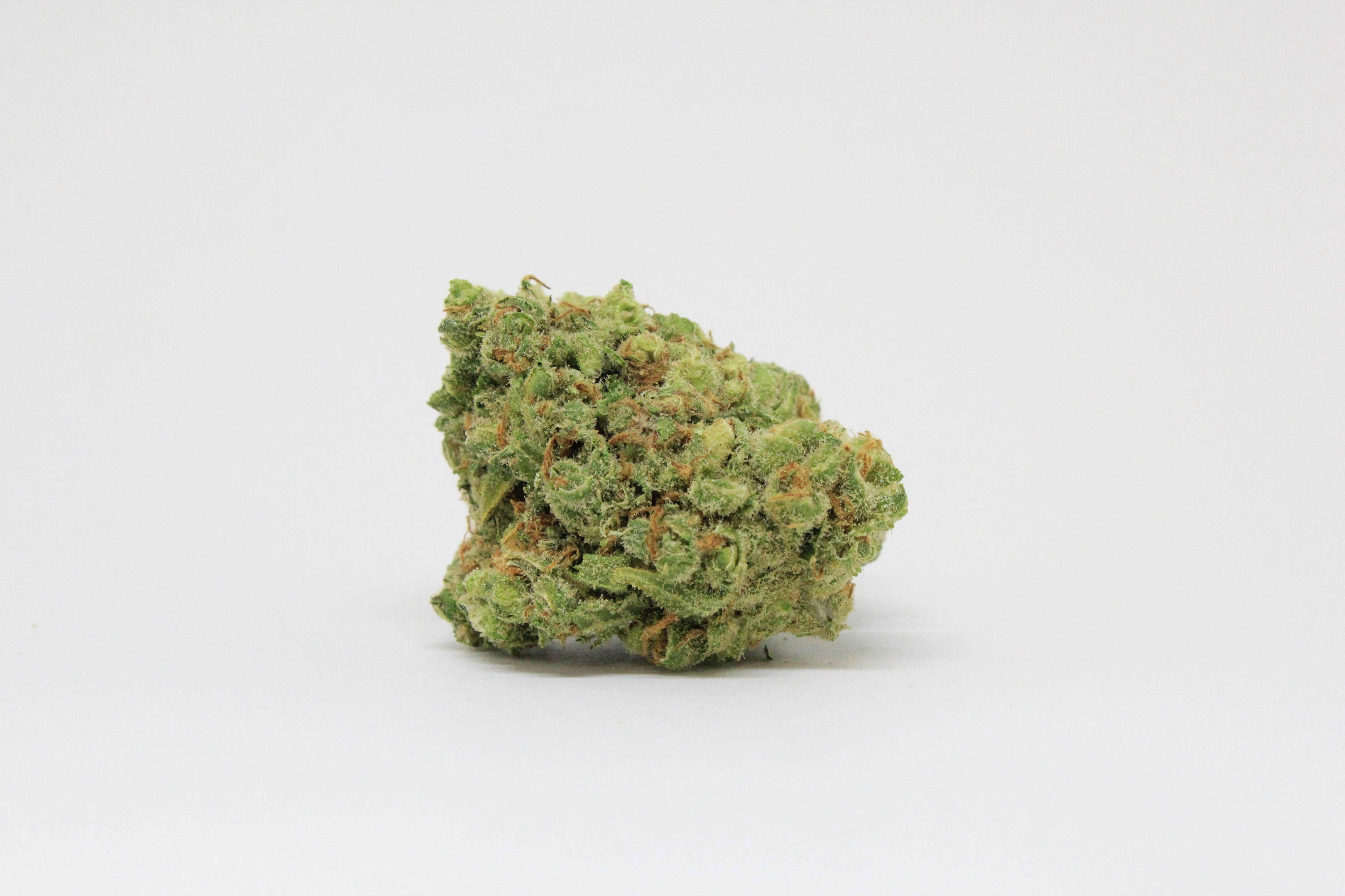 marijuana-dispensaries-kaya-cannabis-colfax-med-in-denver-jack-flash-oz