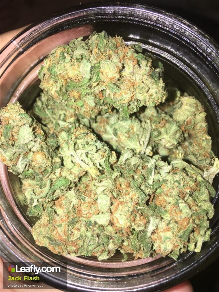marijuana-dispensaries-the-greens-of-central-oklahoma-in-oklahoma-city-jack-flash