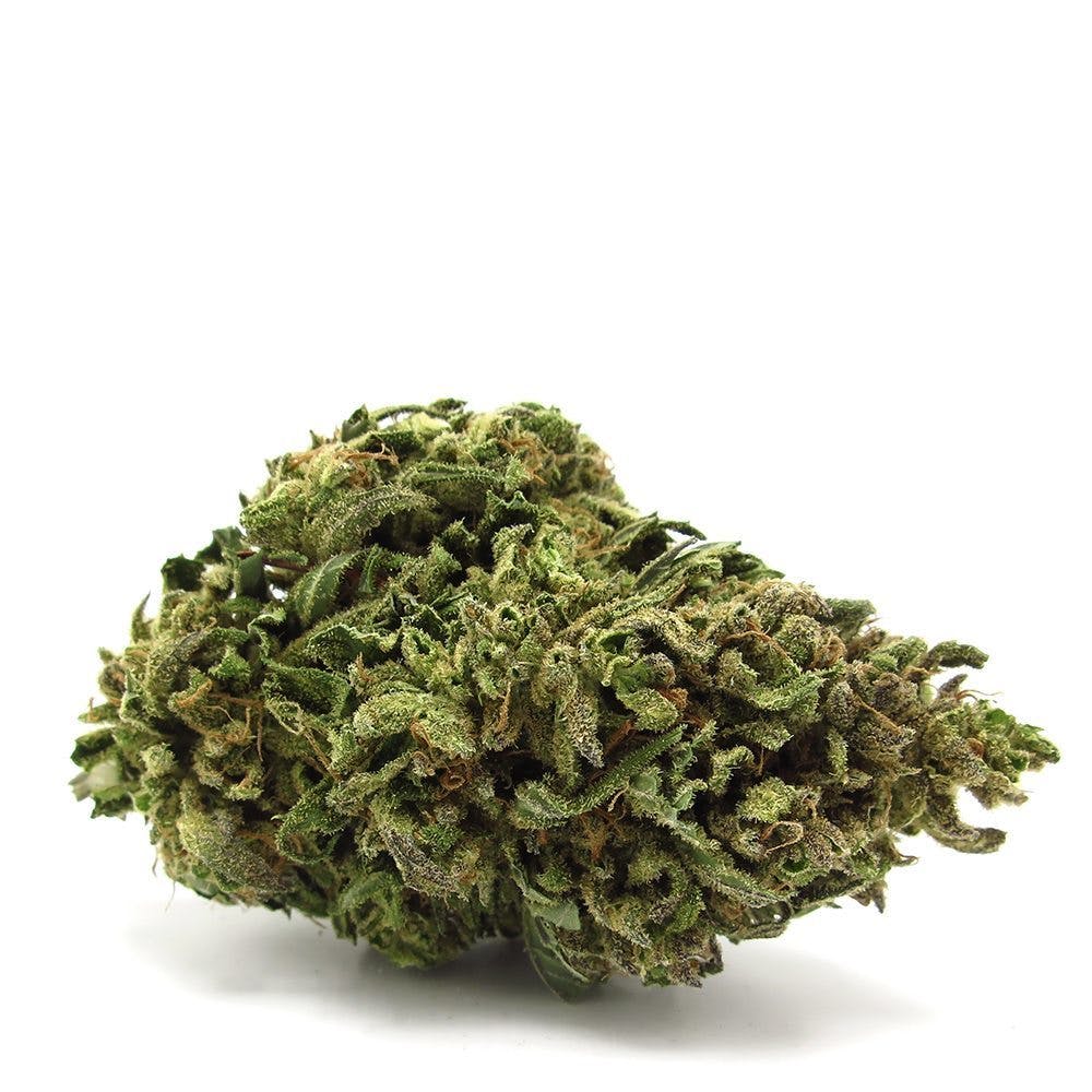 sativa-jack-frost5-5g-for-2425