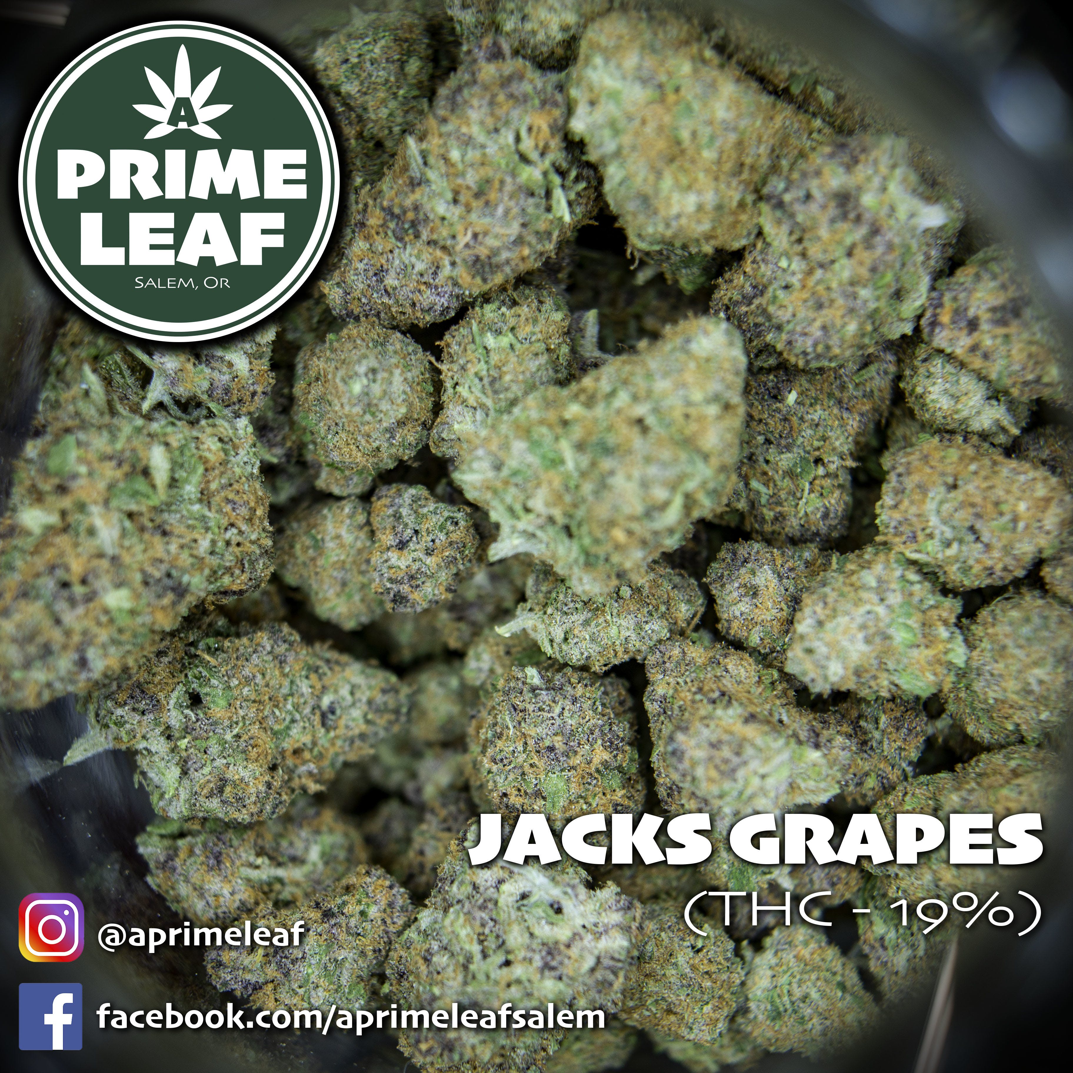 Jack Grapes Re up