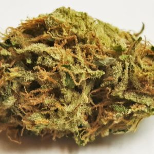 JACK HERER EXCLUSIVE *4 FOR 40 OR 5 FOR 50*
