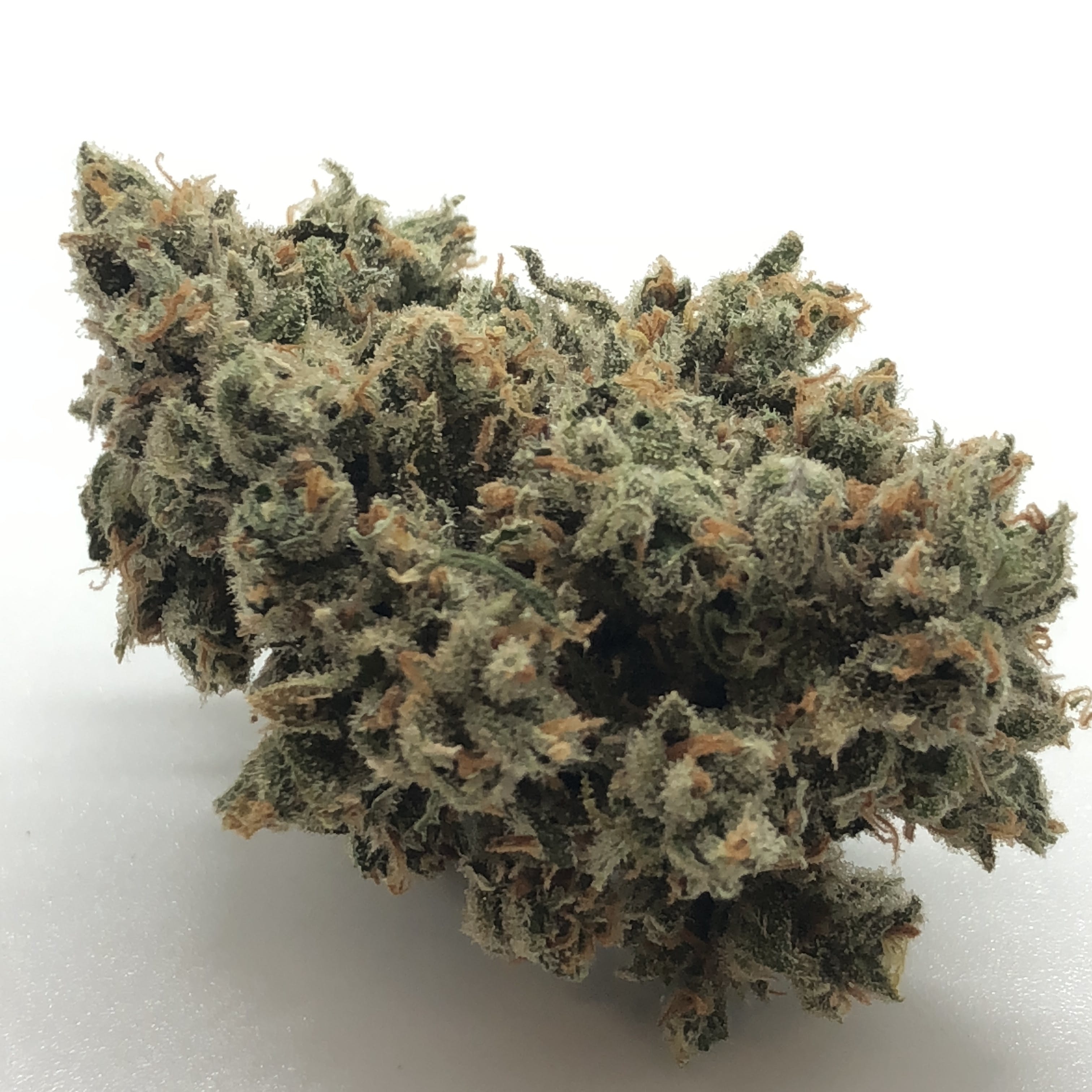marijuana-dispensaries-8762-pico-blvd-los-angeles-jack-herer-exclusive