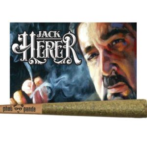 Jack Herer Preroll- 3 Pack