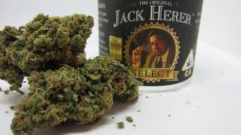 Jack Herer - The Original Jack Herer