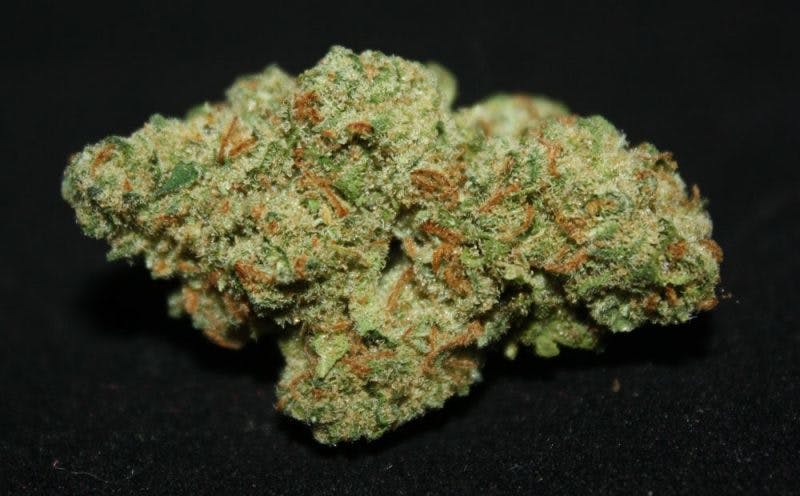 marijuana-dispensaries-cap-city-express-in-north-hollywood-jack-herer-top-shelf