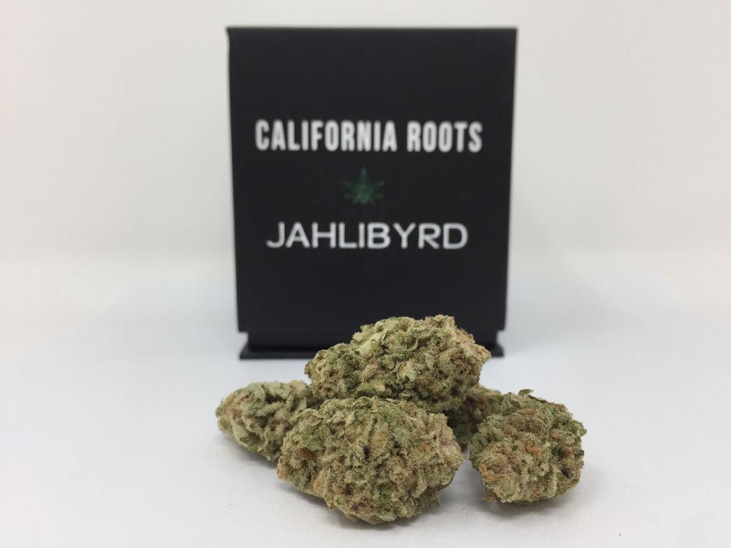 marijuana-dispensaries-house-of-organics-in-sacramento-jahlibyrd-california-roots