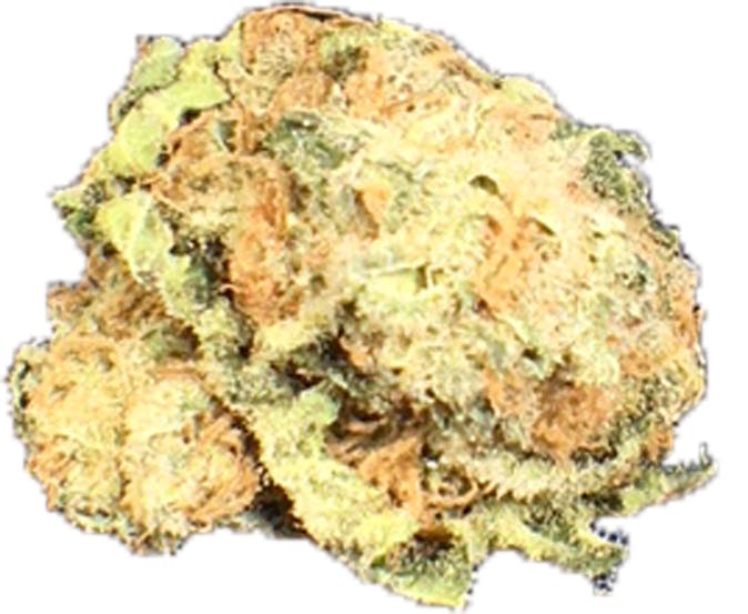 marijuana-dispensaries-5390-w-ina-rd-tucson-jaws