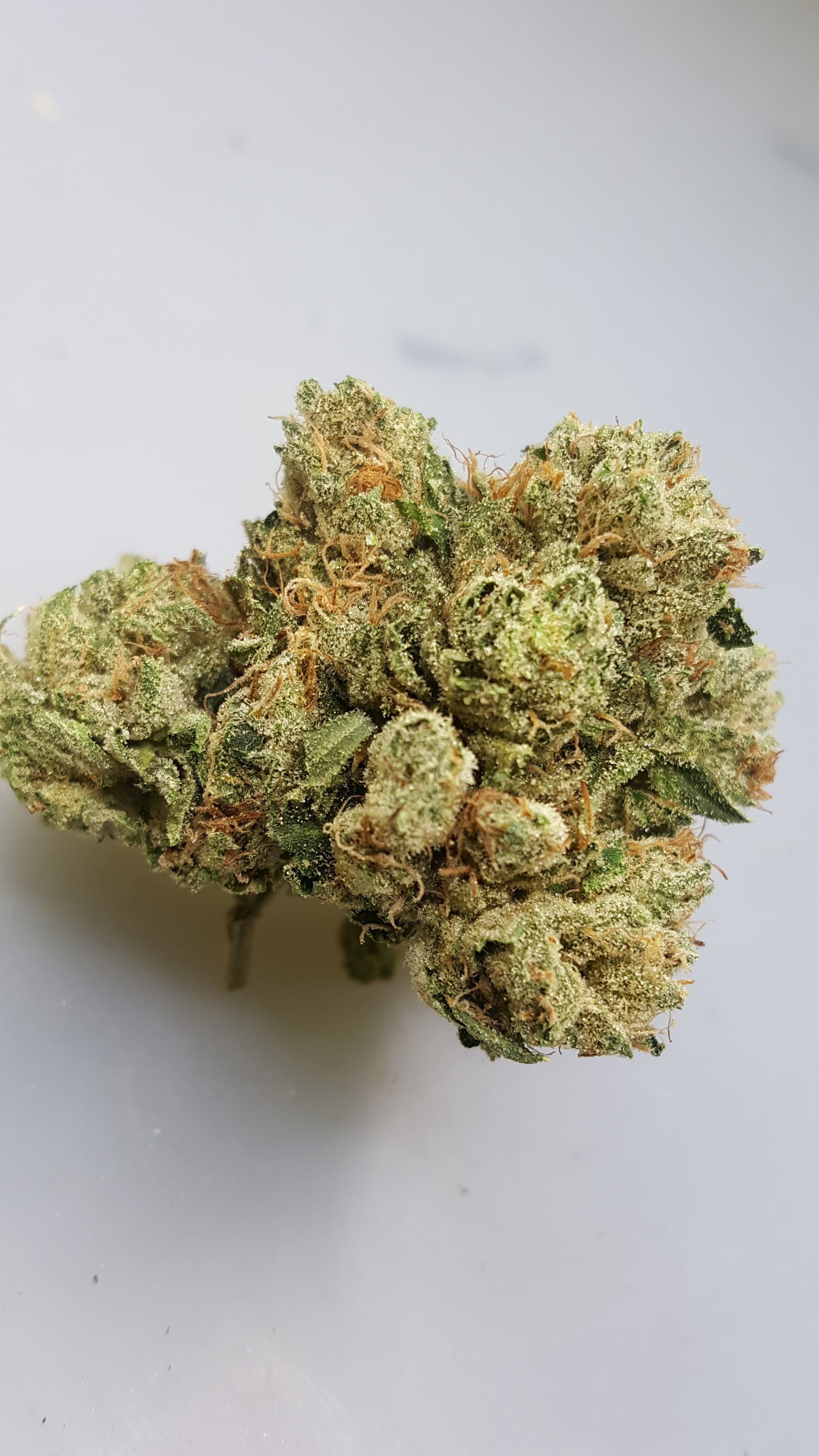 marijuana-dispensaries-14226-leffing-well-rd-whittier-jedi-og-5-4030