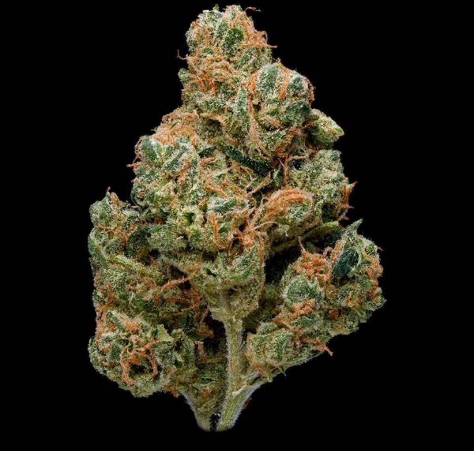 marijuana-dispensaries-612-north-hoover-los-angeles-jet-fuel-og-fuma