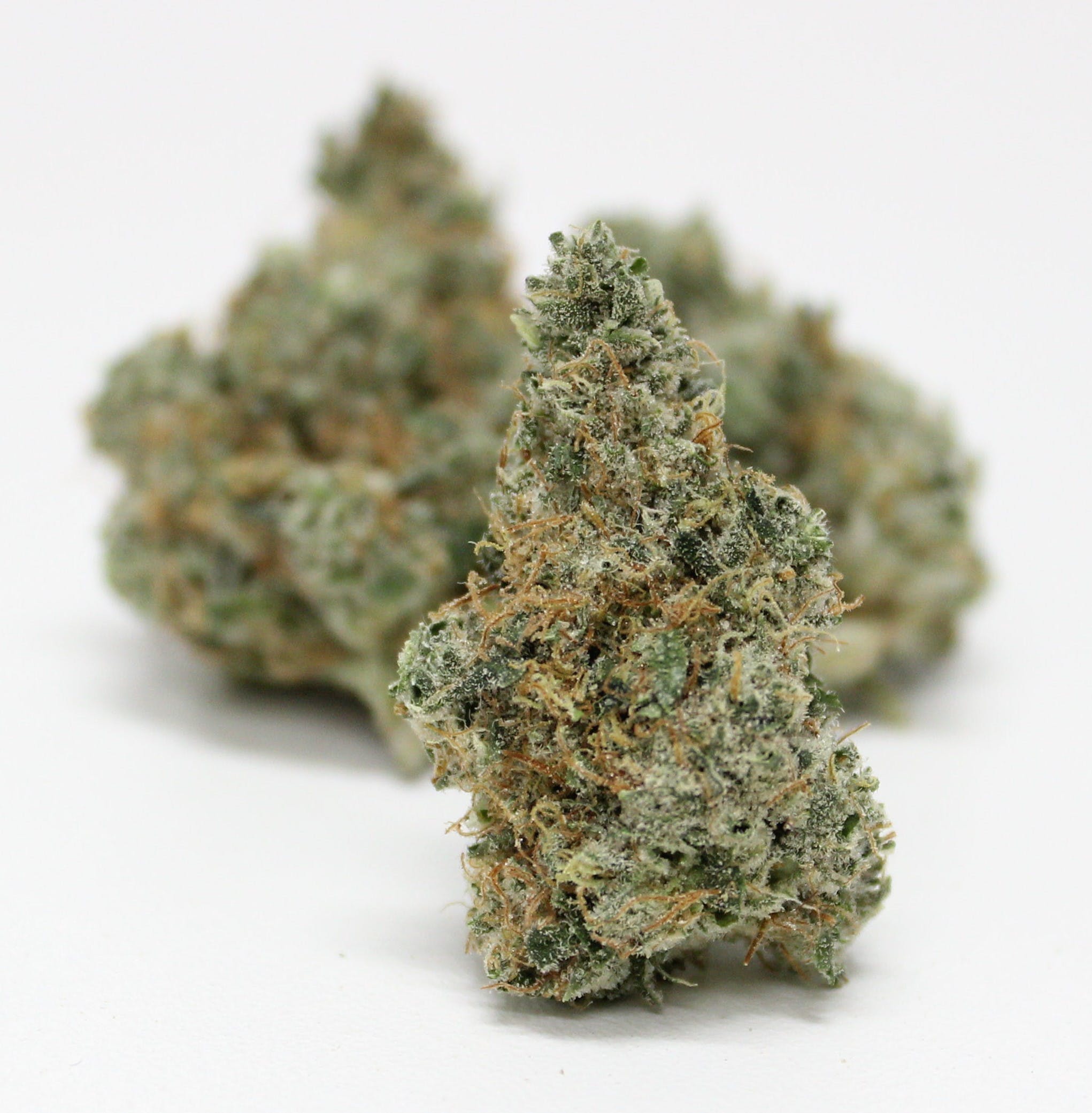 marijuana-dispensaries-20561-dwyer-st-detroit-jet-fuel-special-245g