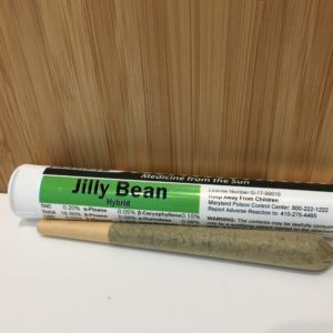 Jilly Bean | Hybrid | SunMed