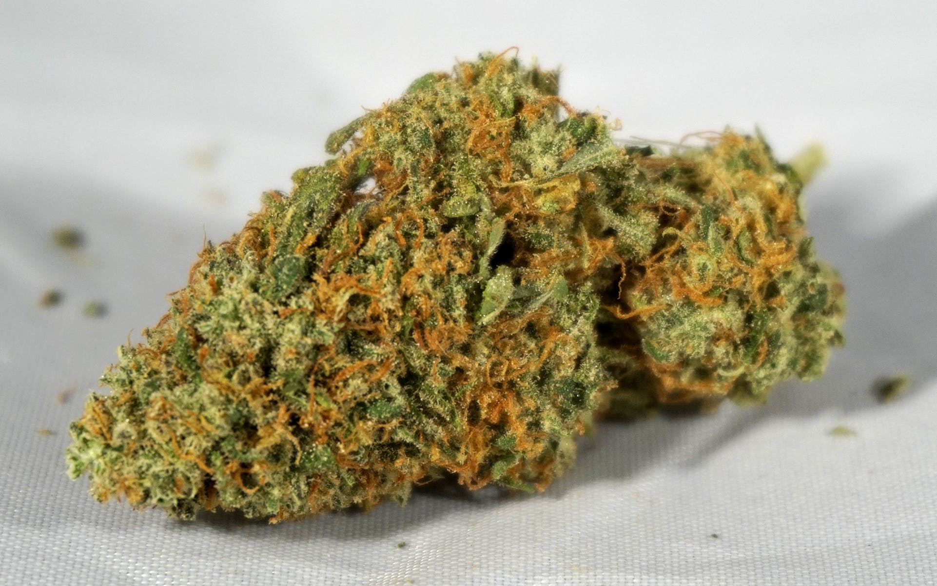 marijuana-dispensaries-1537-pearl-st-unit-b-boulder-johnny-blaze-select