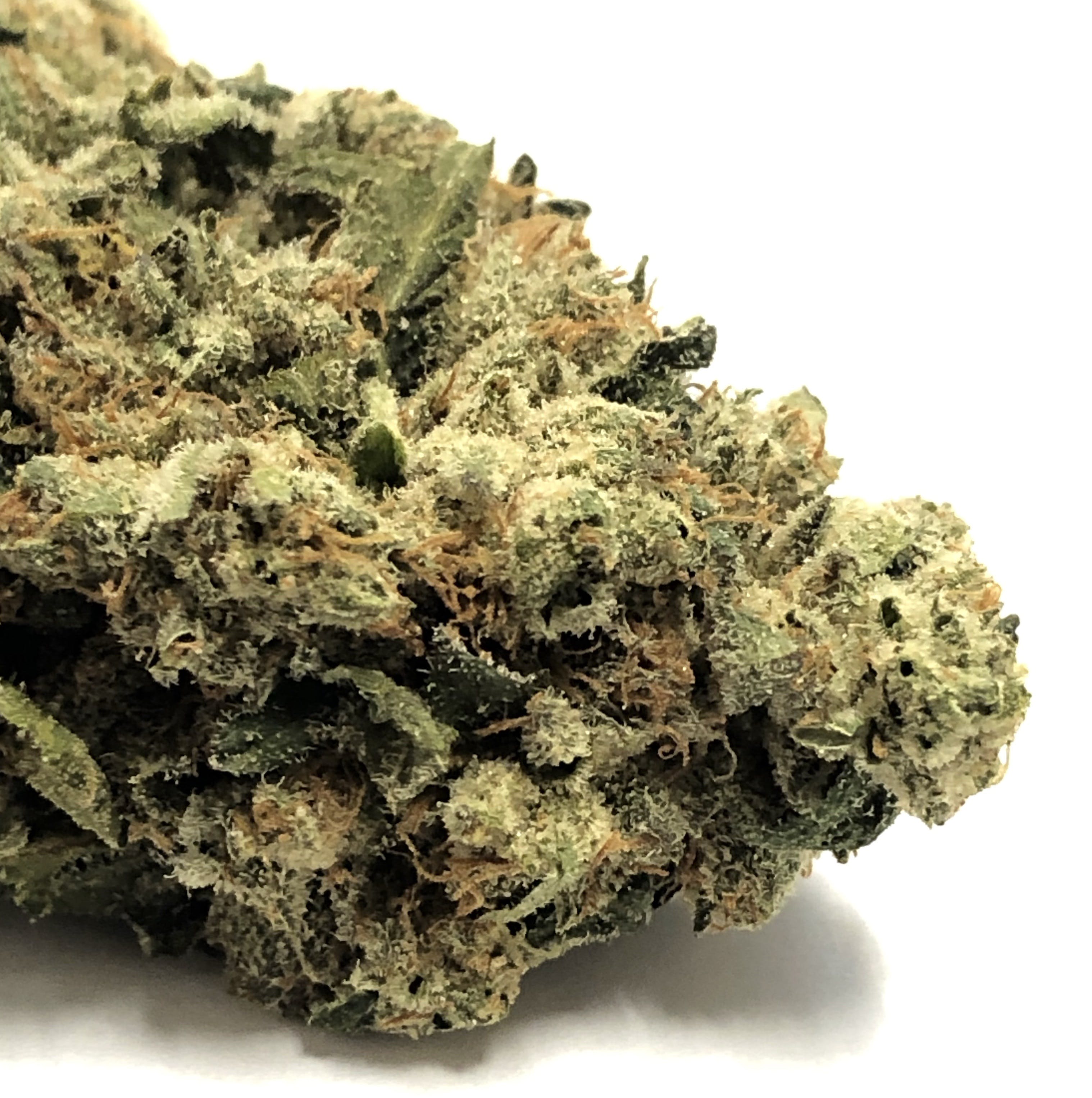 marijuana-dispensaries-6007-ann-arbor-road-jackson-josh-d-og