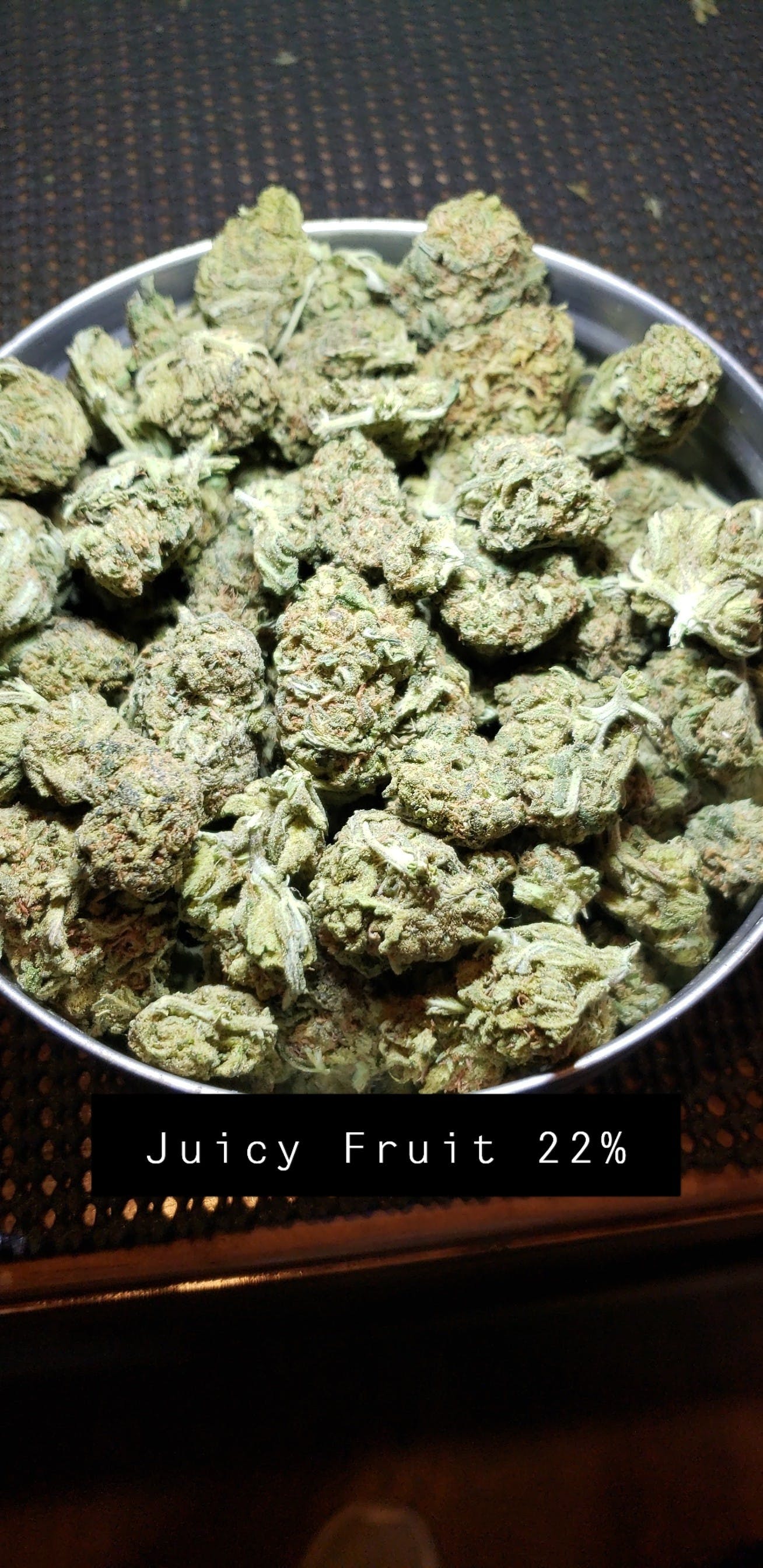 hybrid-juicy-fruit-22-25