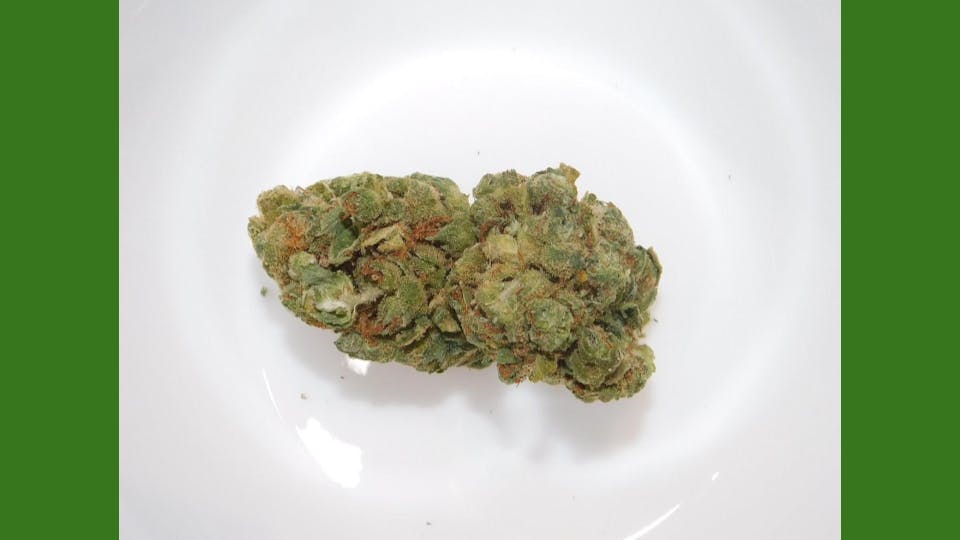 marijuana-dispensaries-6464-e-tanque-verde-rd-tucson-junk-yard-dog-h-i