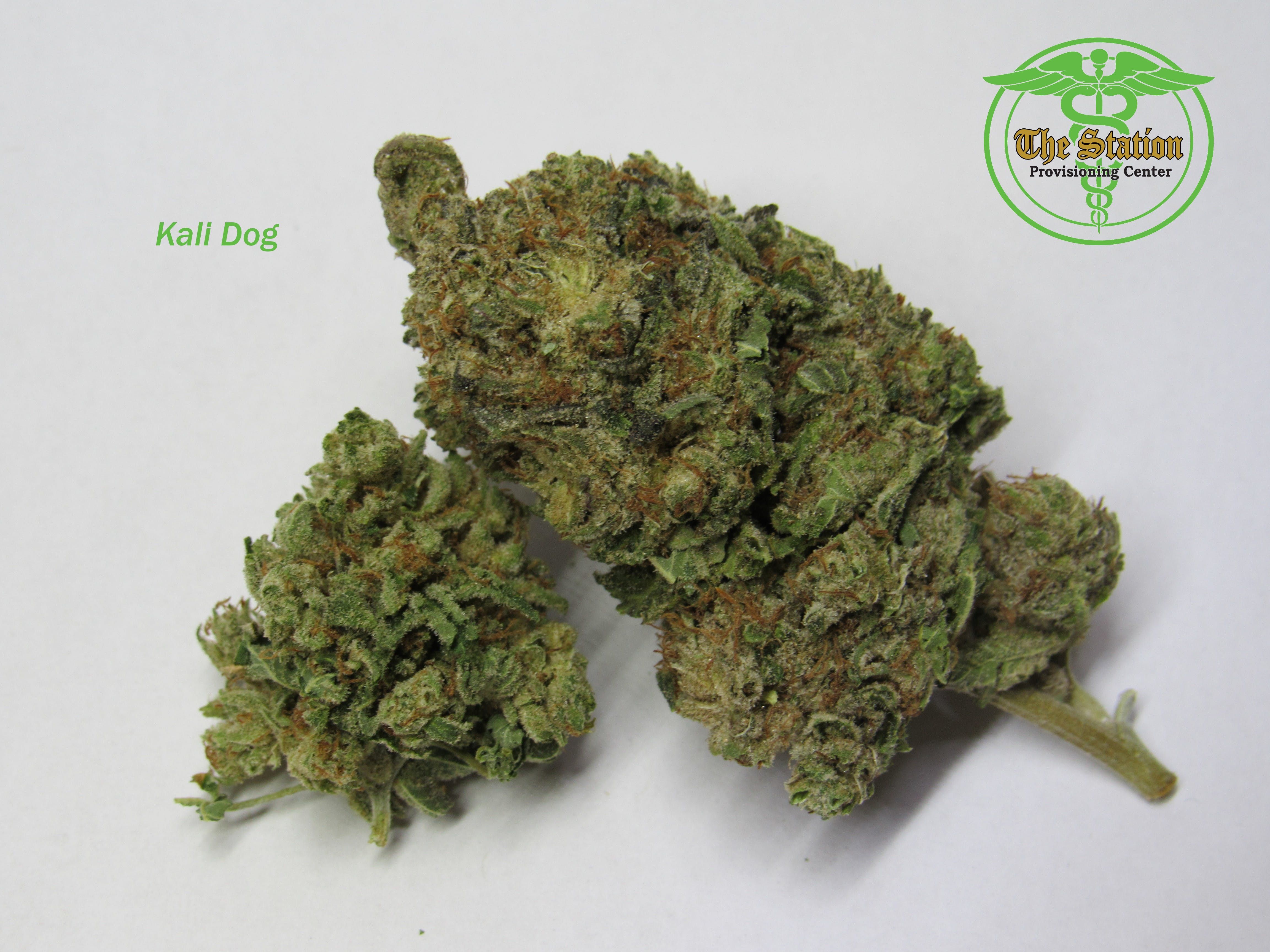 marijuana-dispensaries-302-e-huron-ave-vassar-kali-dog