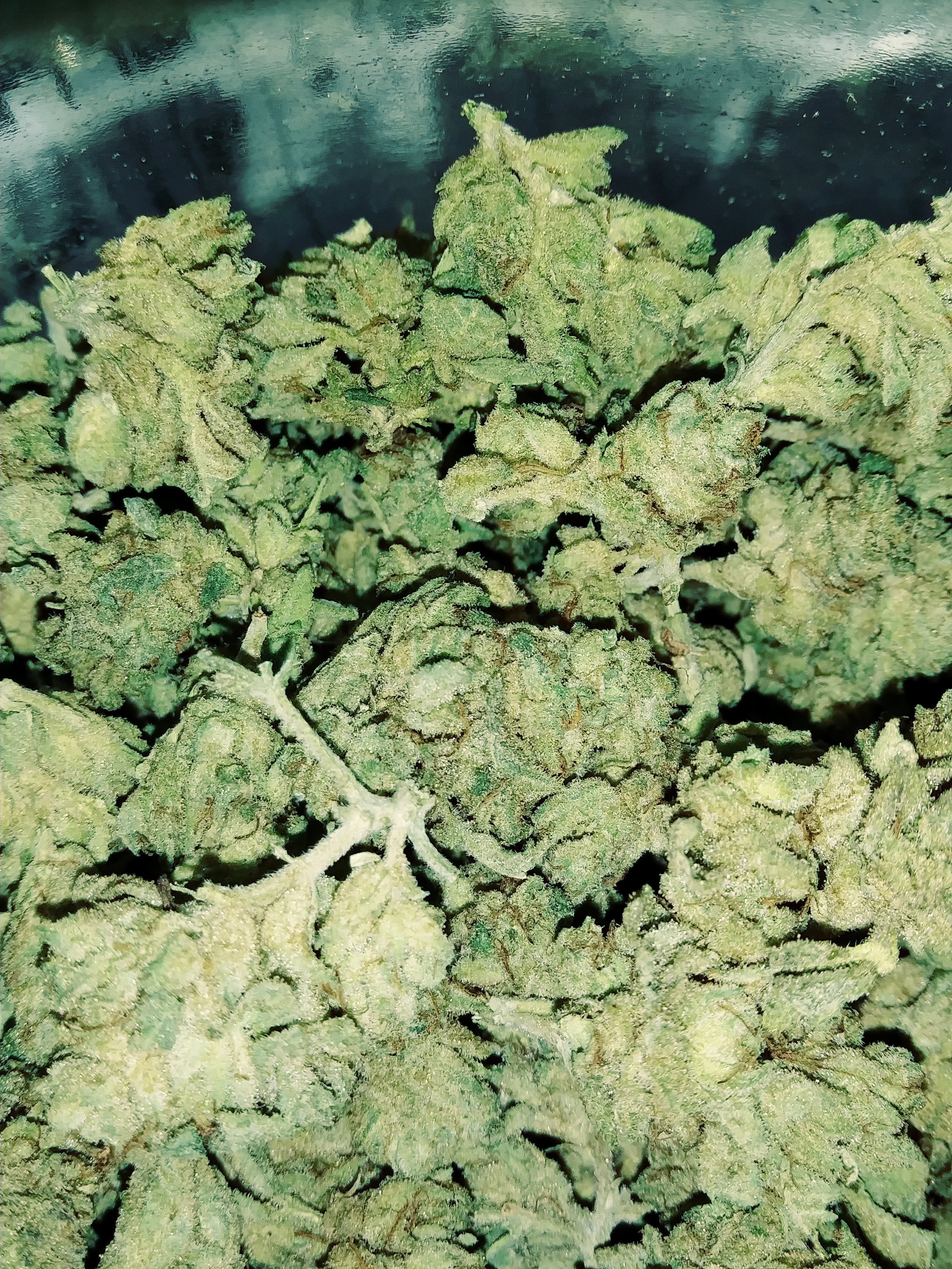 marijuana-dispensaries-the-good-place-in-norman-kandy-kush