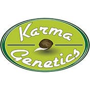 [[Karma Genetics]] Old Grandpa Scratch LTD