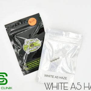 [[Karma Genetics]] White A5 Haze