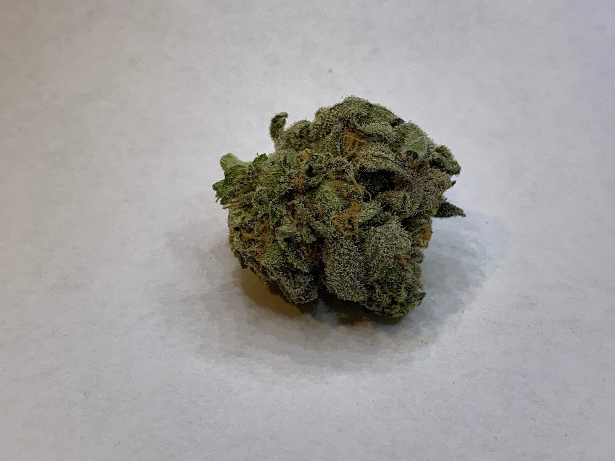 marijuana-dispensaries-3191-s-white-mountain-rd-ste-a-show-low-kash-plant