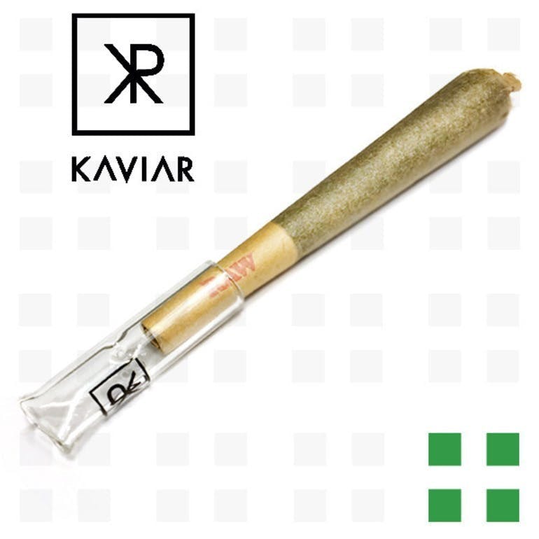 Kaviar Diesel Bean Cone (Sativa)