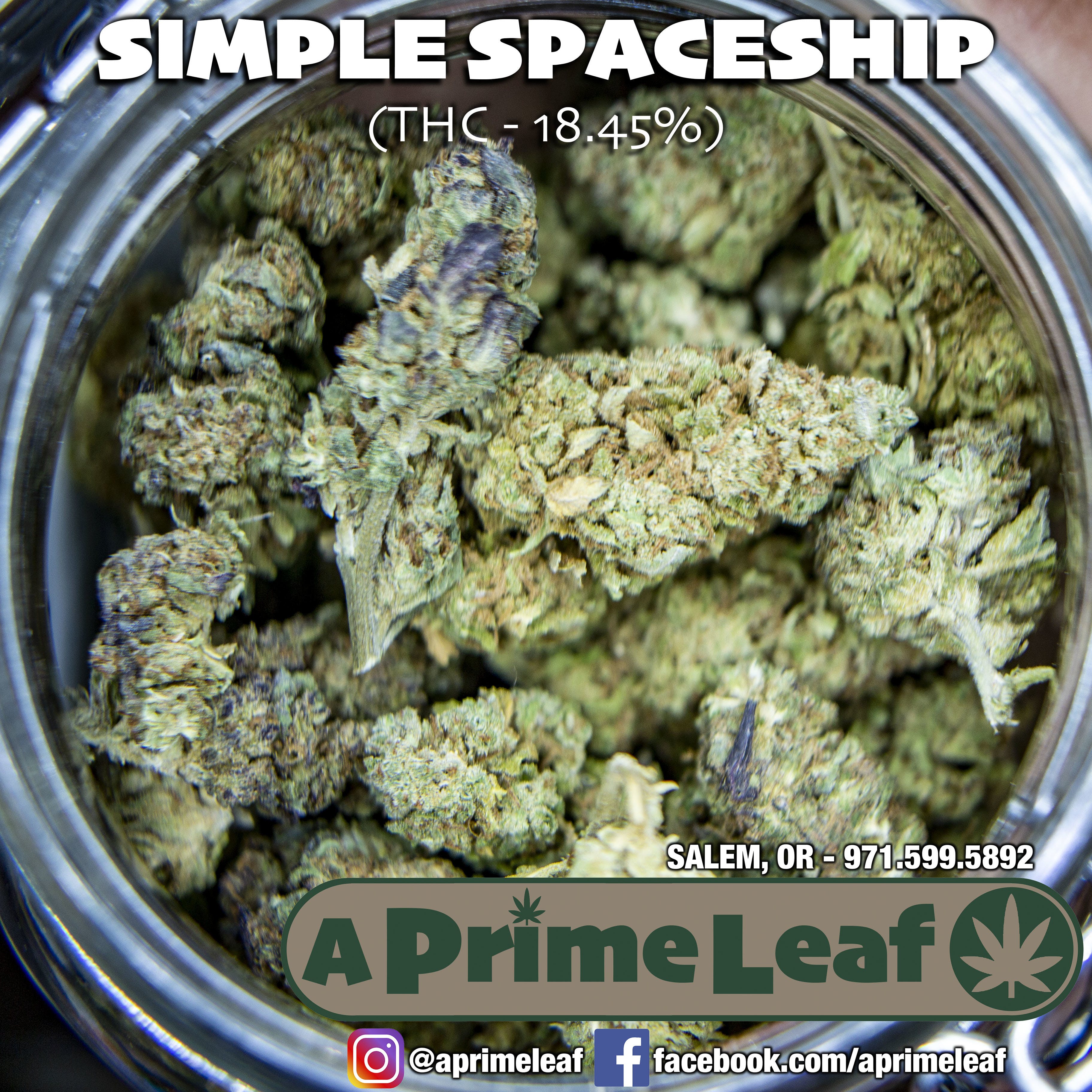marijuana-dispensaries-2974-12th-st-se-salem-kendo-farm-simple-space-ship