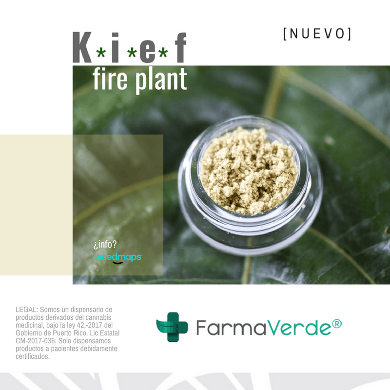 marijuana-dispensaries-farmaverde-dorado-in-dorado-kief-fire-plant-1g