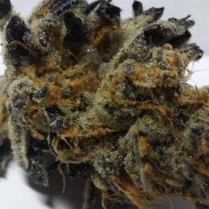 KIFF Premium Cannabis - Thin Mint Cookie