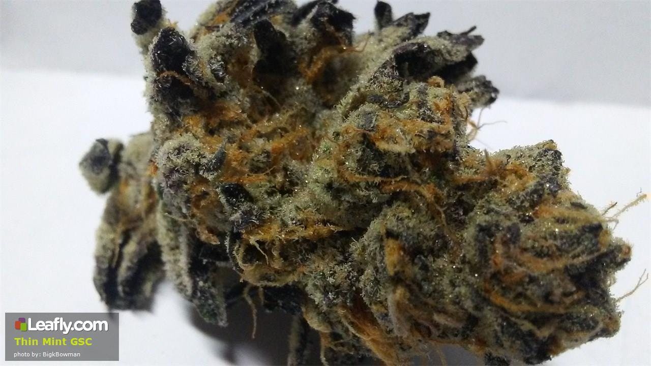 marijuana-dispensaries-605-w-bridge-st-yerington-kiff-premium-cannabis-thin-mint-cookie