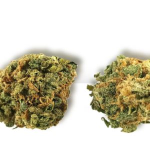 Kilimanjaro - 1/2 Ounce Popcorn Buds (Pre-Packed)