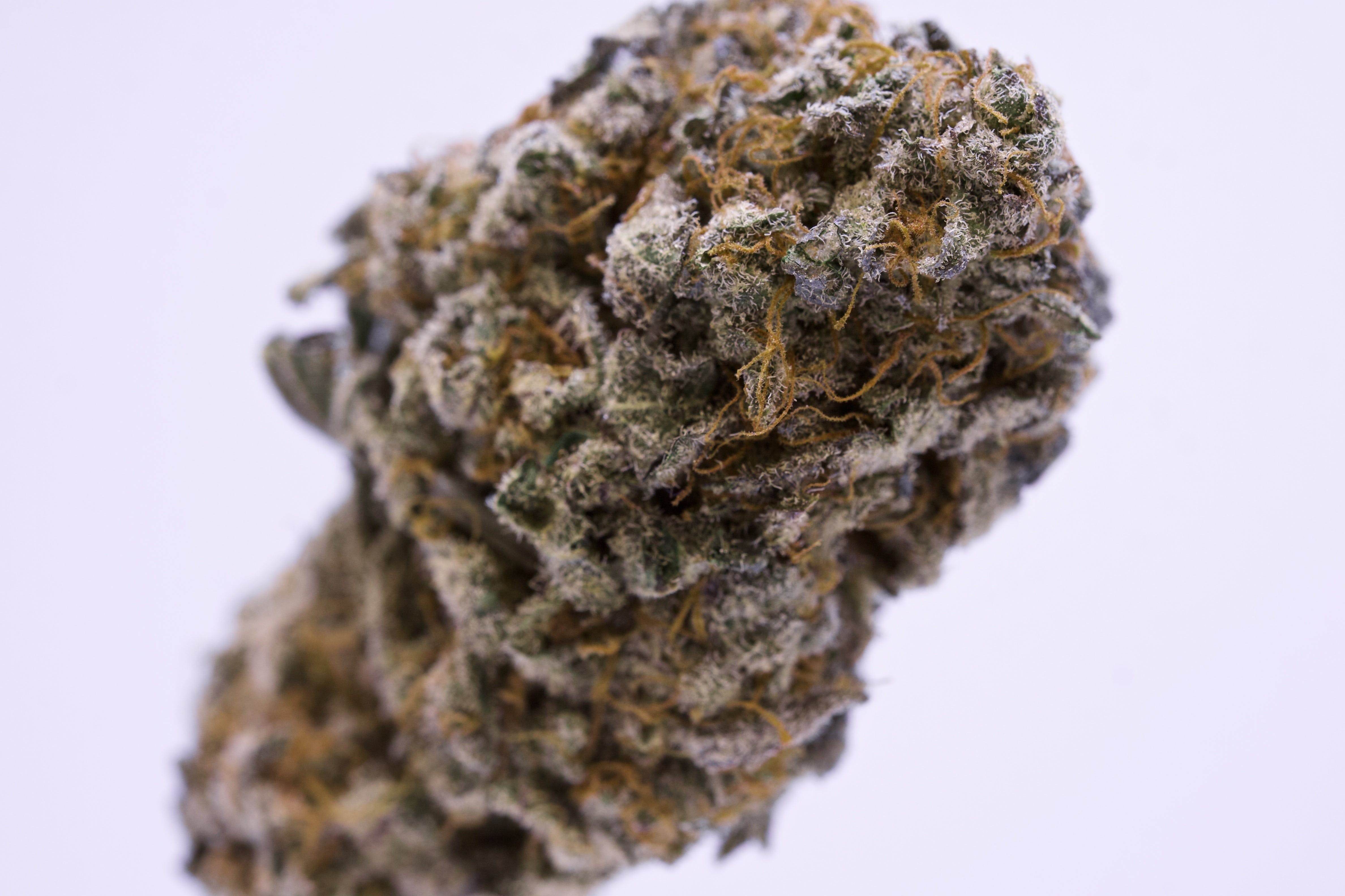 marijuana-dispensaries-2600-spenard-rd-anchorage-kimbo-kush-by-alaska-rustic