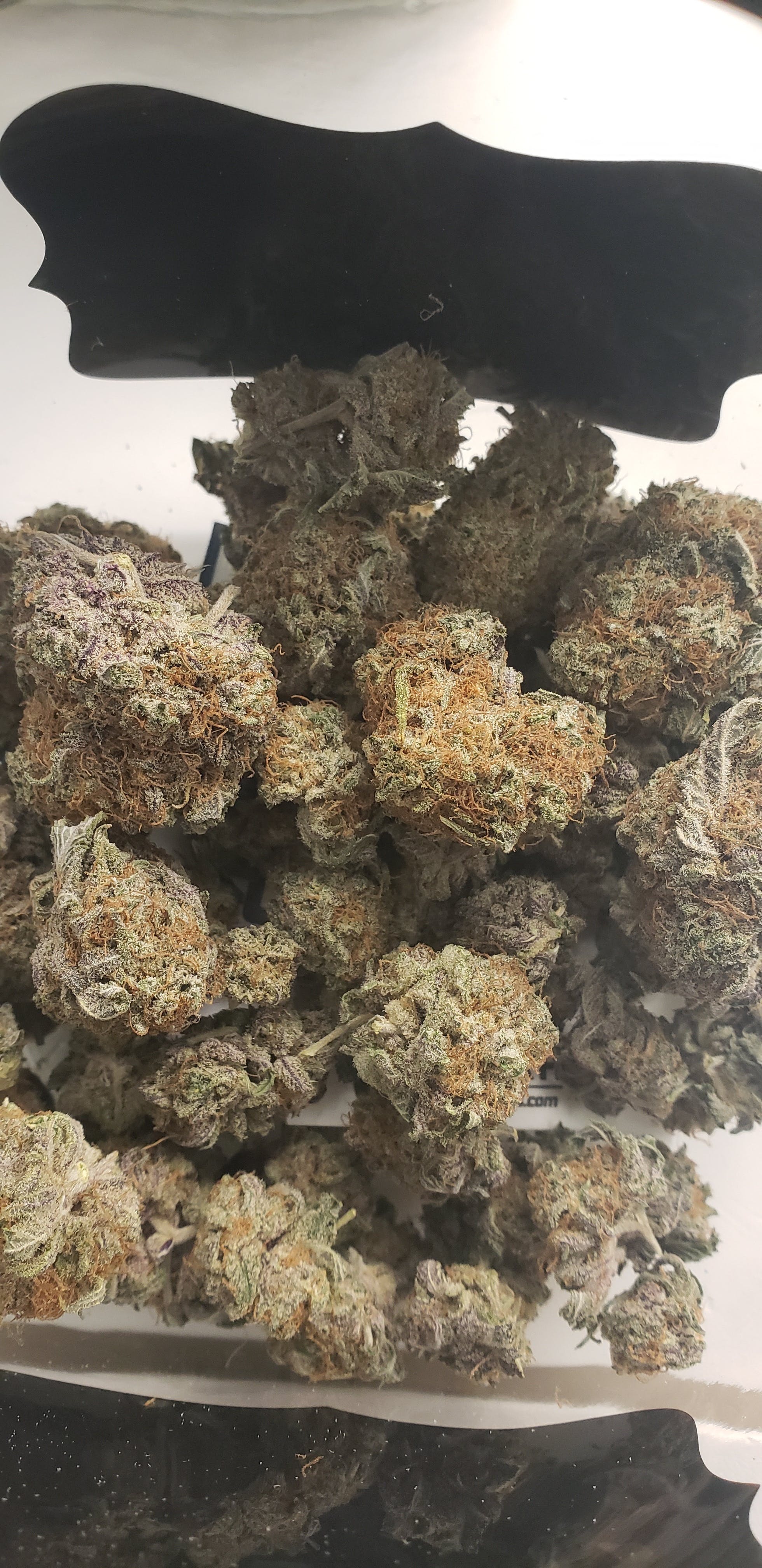 marijuana-dispensaries-high-bush-buds-in-soldotna-kimbo-kush