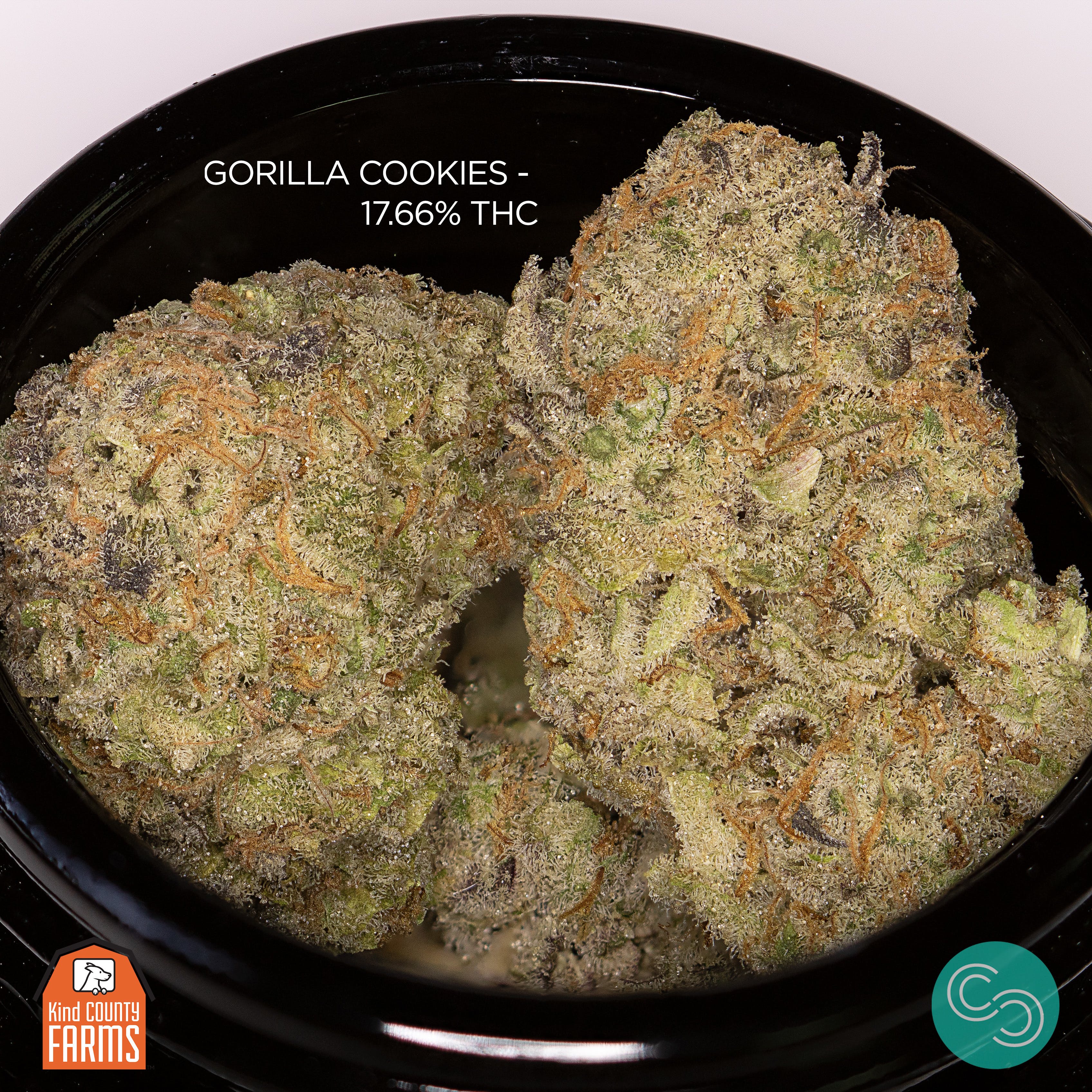 Kind County - Gorilla Cookies - 17.66%THC
