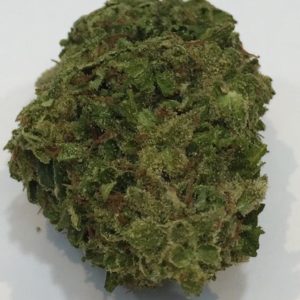 **KING LOUIE $175 FOR OZ DURING THE HAPPY HOURS