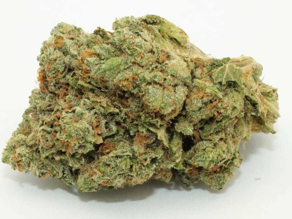 indica-king-louie-exclusive-4-for-40-or-5-for-50