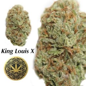 King Louis 20% THC