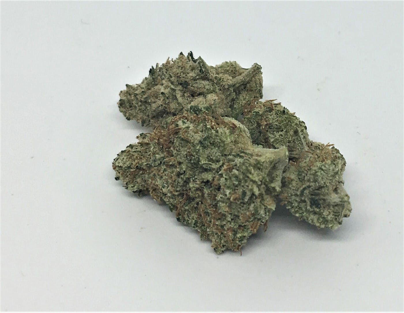 marijuana-dispensaries-9880-montgomery-blvd-unit-c-albuquerque-king-of-the-north