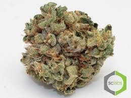 marijuana-dispensaries-23216-normandie-ave-torrance-king-sheen-og
