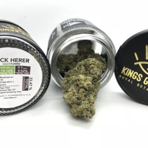King's Garden - Jack Herer - 23.47% Total Cannabinoids