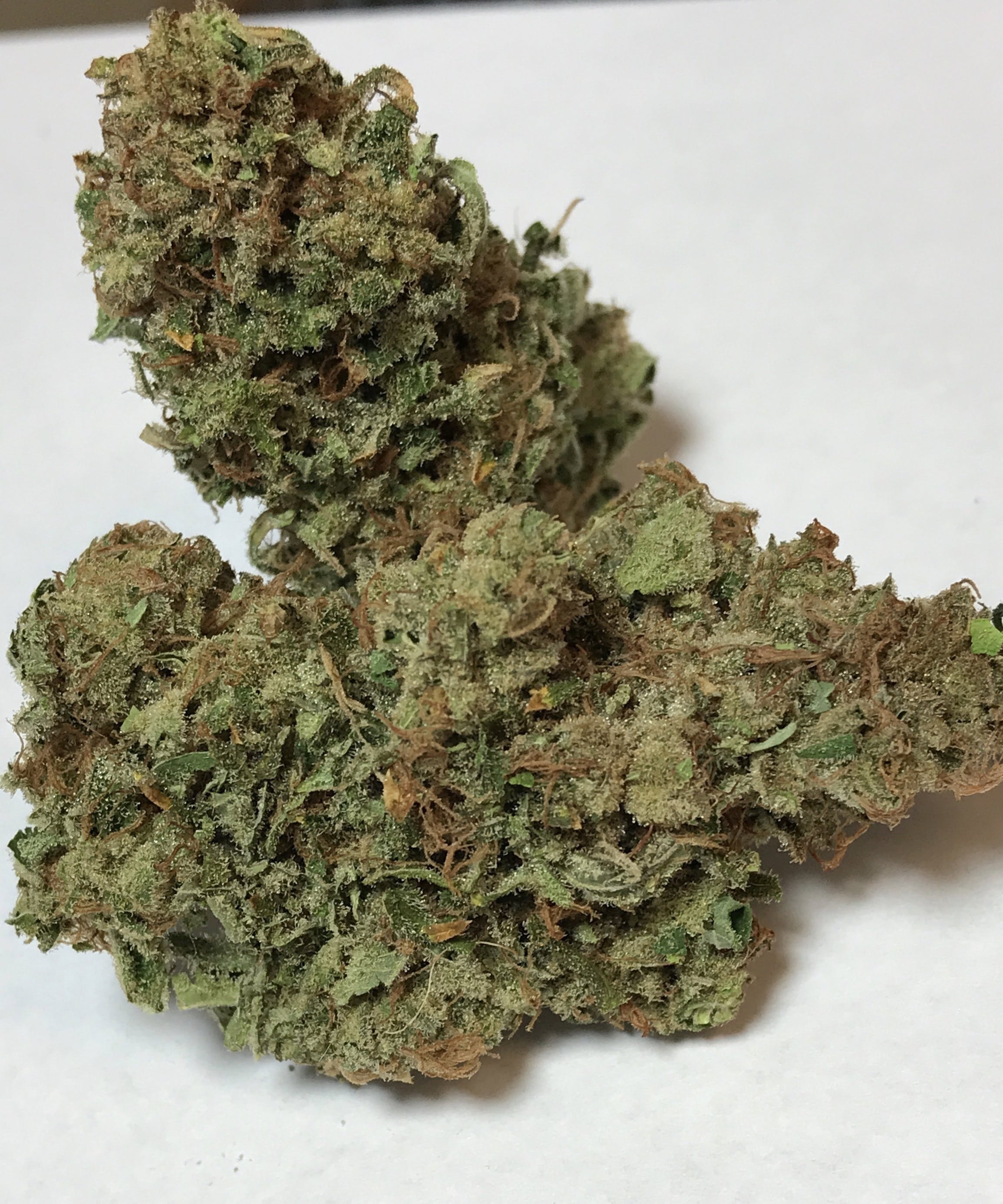 marijuana-dispensaries-924-nw-150th-street-edmond-kings-garden-sour-diesel-bulk-thc-flower