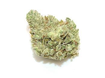 marijuana-dispensaries-elevate-shasta-in-mt-shasta-kings-garden-super-glue