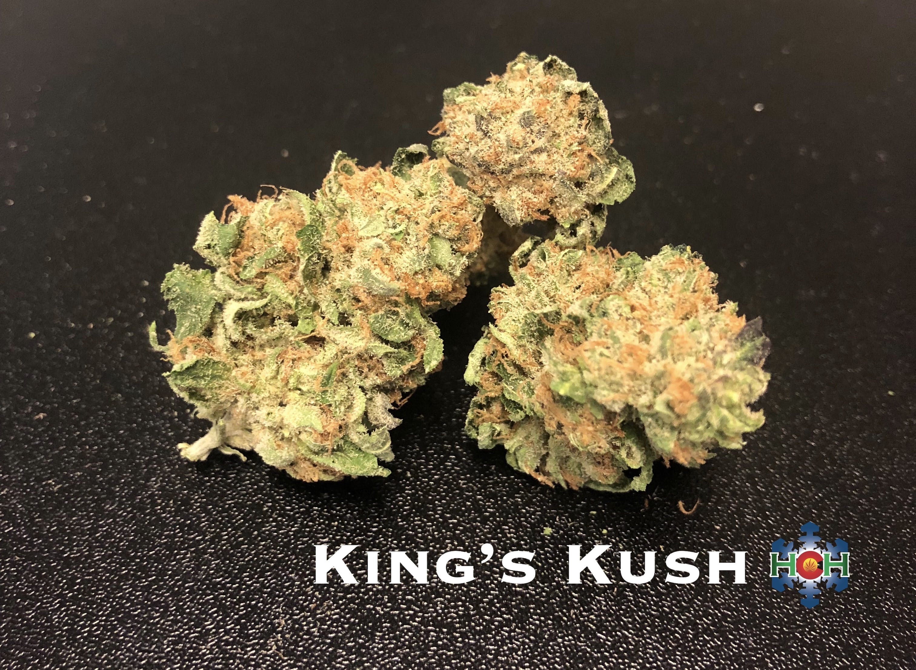 marijuana-dispensaries-permafrost-distributors-in-sterling-kings-kush