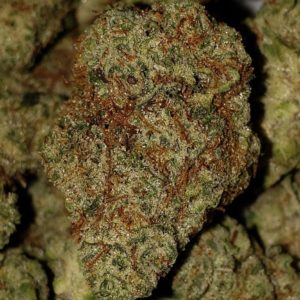 King's OG x Strawberry Diesel 30.9% - King's Cannabis