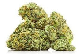 marijuana-dispensaries-the-healing-center-thc-in-needles-knbis-true-og