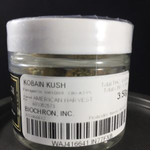 Kobain Kush by Good Good Garden
