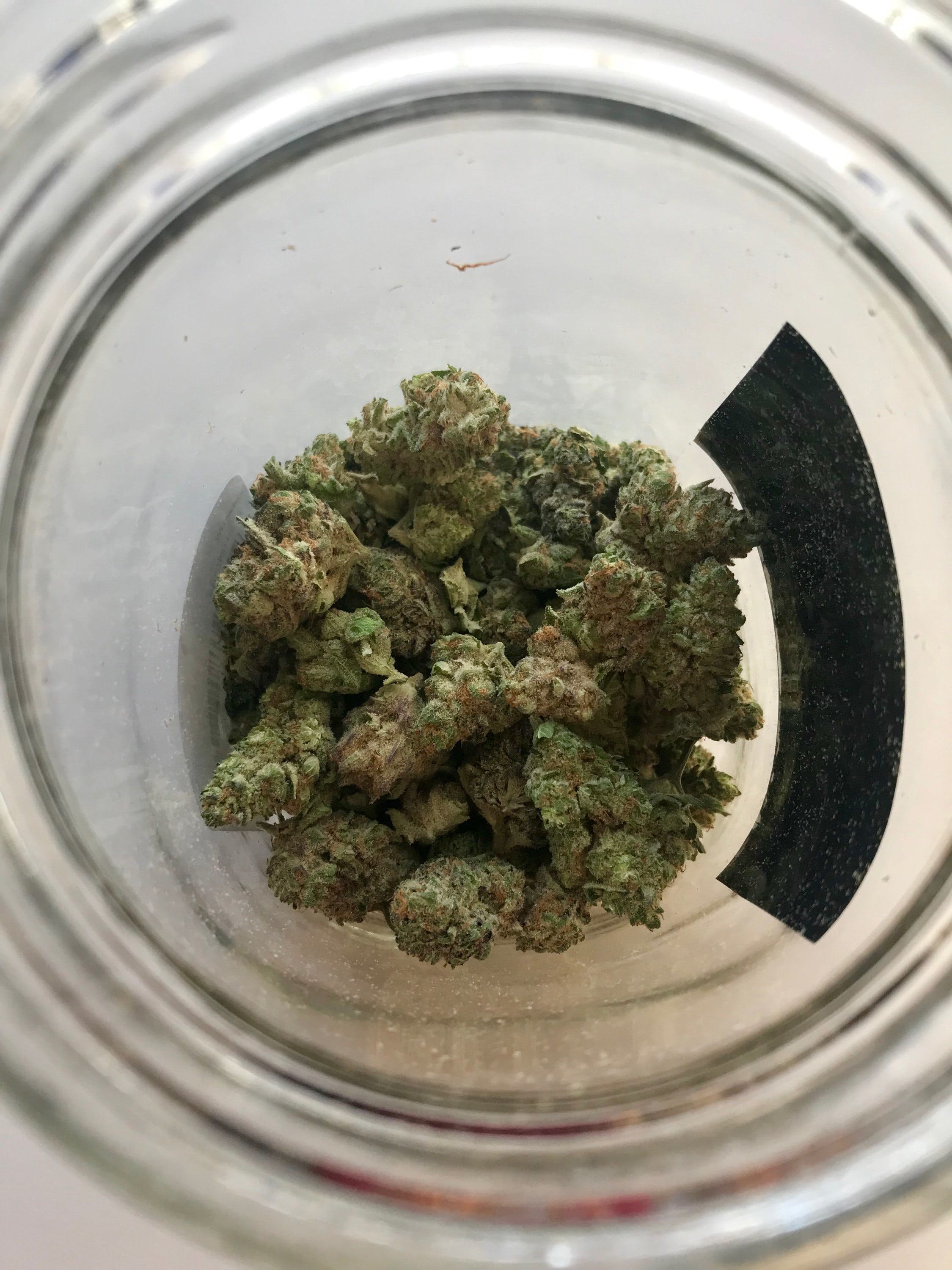 marijuana-dispensaries-5700-4th-st-nw-albuquerque-kobe