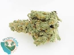 marijuana-dispensaries-420-e-manchester-blvd-inglewood-kobes-magic-choice-mimosa-sd