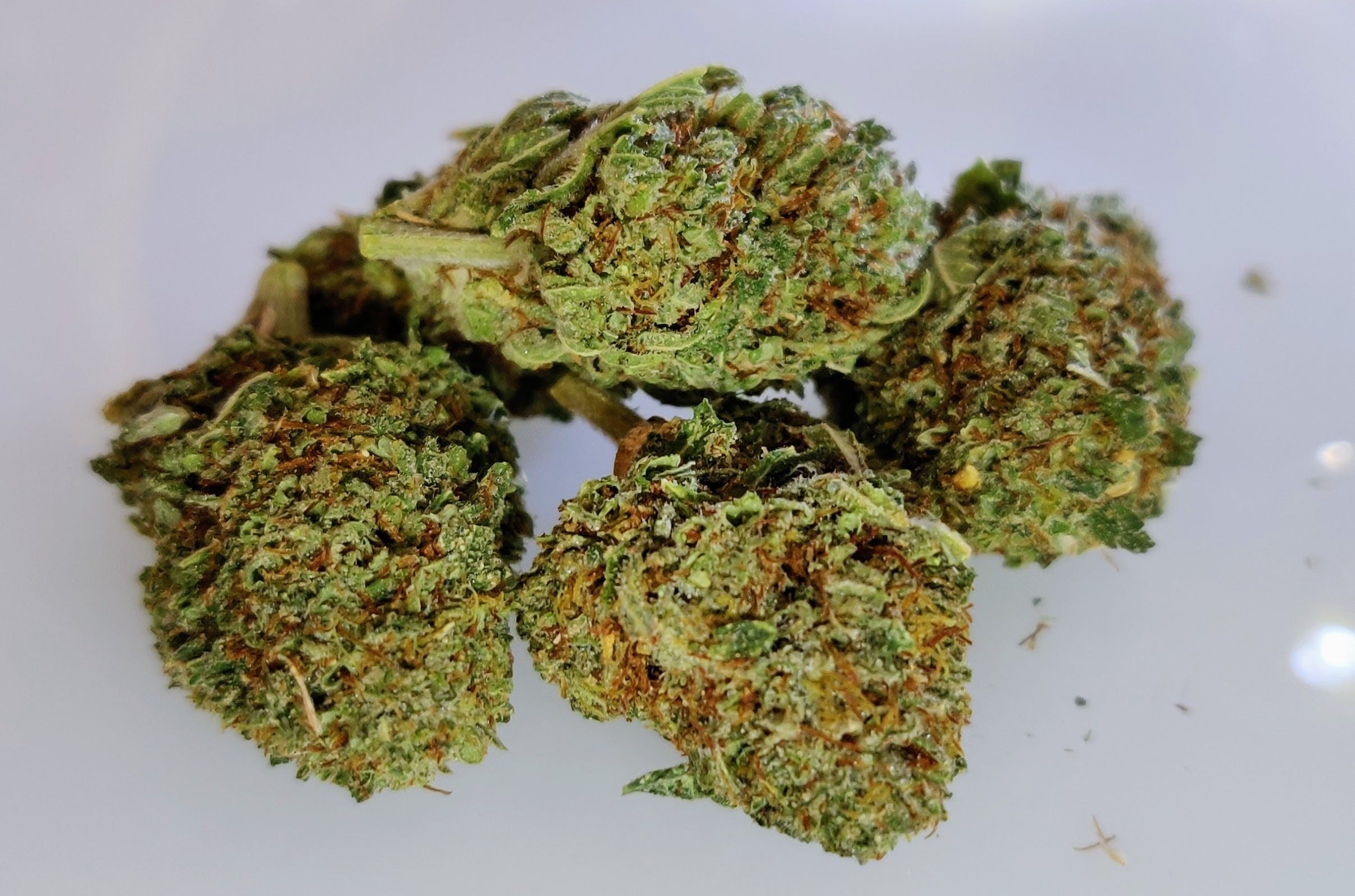 marijuana-dispensaries-the-good-place-in-norman-kong